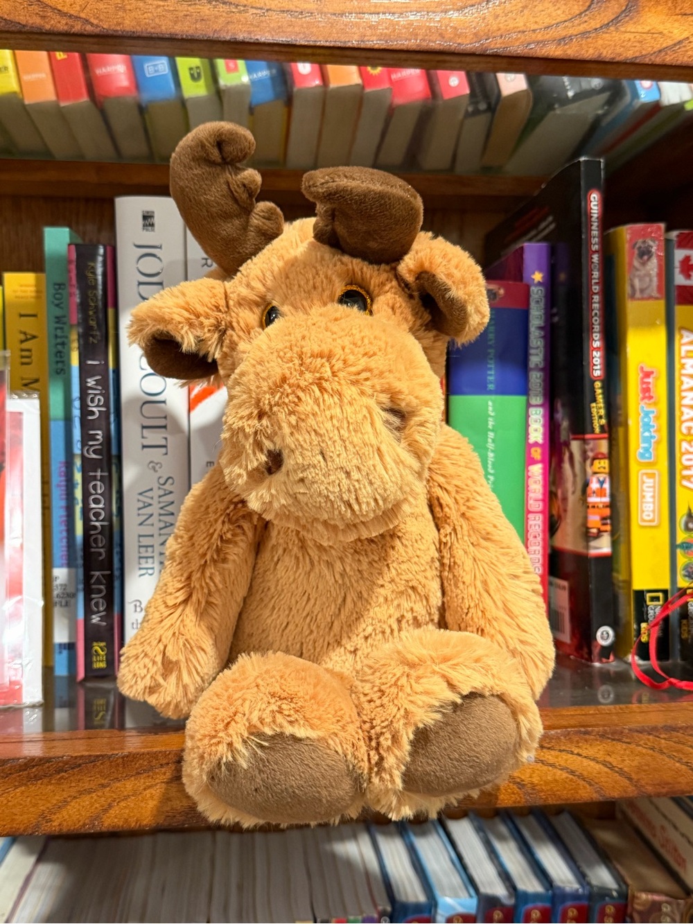Archibald TY Soft Plush Moose Stuffed Animal Toy Brown